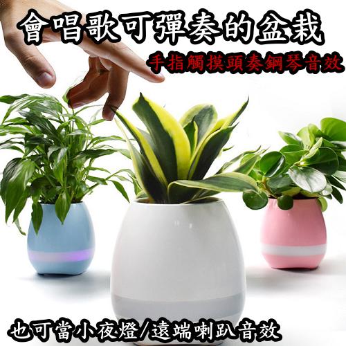 會唱歌的花盆超療癒【紓壓必備品,精緻音樂造型盆栽】太可愛了,還可聽音樂,可彈奏,可當小夜燈,用來紓壓或讓寶貝當互動智慧玩具/ 觸控葉子可彈琴 連接手機可播放音樂 /藍芽喇叭